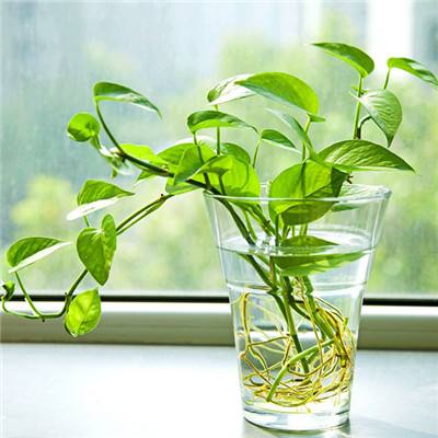 雷电战机VI手机版下载